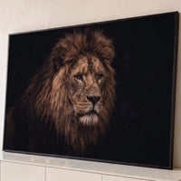 Quadro Decorativo Grande Leão Fundo Escuro para Sala Marrom - Borda Infinita / 65x100cm