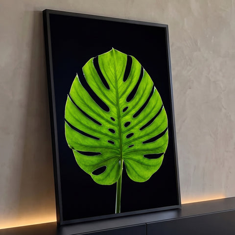 Quadro Decorativo Grande Folha Tropical de Flores para Sala | quadros decorativos para sala | folha verde tropical com fendas profundas iluminada por trás em fundo preto | Porao dos Quadros