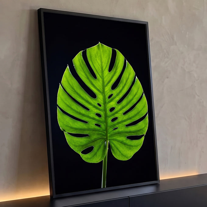 Quadro Decorativo Grande Folha Tropical de Flores para Sala | quadros decorativos para sala | folha verde tropical com fendas profundas iluminada por trás em fundo preto | Porao dos Quadros