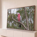 Cacatua-rosa de asas cinza pousada em galho seco entre folhas verdes de eucalipto, quadro decorativo