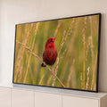 Pássaro vermelho com pintas brancas pousado em capim dourado sobre fundo verde desfocado, quadro decorativo