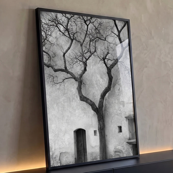 Árvore seca retorcida em preto e branco diante de parede antiga com porta em arco, quadro decorativo