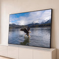 Águia-de-cabeça-branca caçando peixe em lago azul com montanhas nevadas ao fundo, quadro decorativo