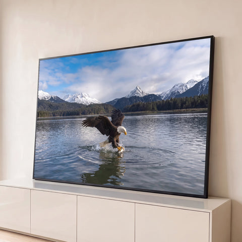 Águia-de-cabeça-branca caçando peixe em lago azul com montanhas nevadas ao fundo, quadro decorativo