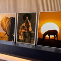 Quadro Decorativo Kit 3 Telas Africano Elefante para Sala | quadros decorativos para sala | elefante, mulher com afro sobre tambores e zebra ao pôr do sol em tons alaranjados | Porao dos Quadros