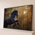Cavalo negro frísio empinado em floresta iluminada por luz dourada do entardecer, quadro decorativo