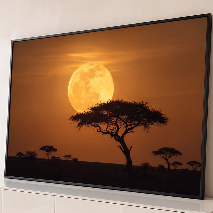 Lua cheia dourada atrás de uma acácia em silhueta na savana africana sob céu laranja, quadro decorativo