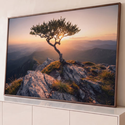 Árvore solitária sobre rochas no topo da montanha com o sol entre os galhos, quadro decorativo