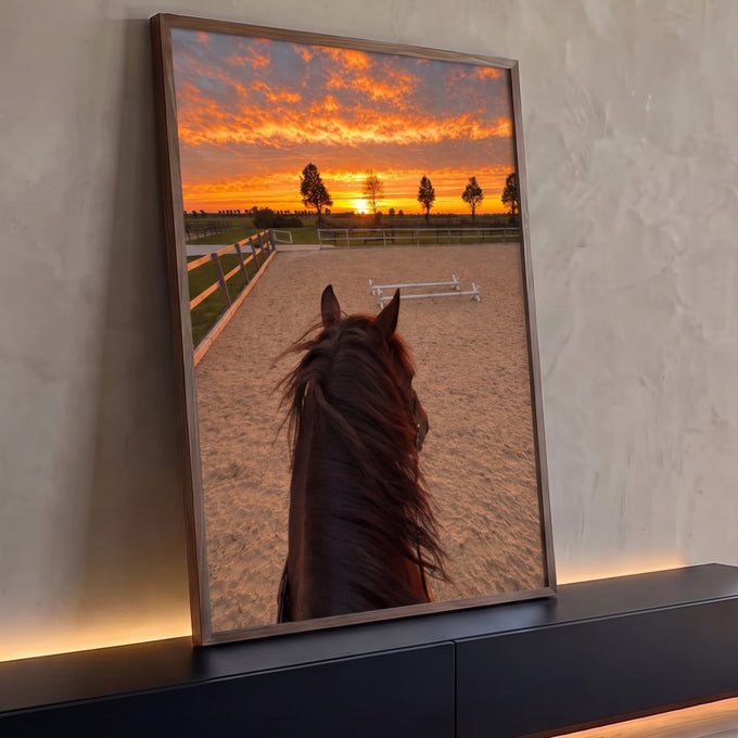 Cavalo castanho visto da sela em arena de areia com céu laranja de pôr do sol, quadro decorativo