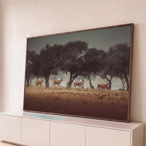 Quatro antílopes elandes caminhando sob acácias na savana africana enevoada, quadro decorativo