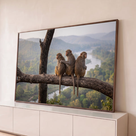 Três macacos sentados em galho de árvore observando vale verde com rio e montanhas, quadro decorativo