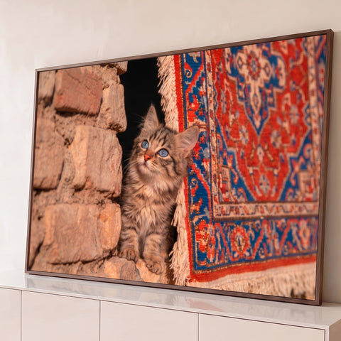 Gatinho rajado de olhos azuis entre parede de pedra e tapete persa vermelho e azul, quadro decorativo