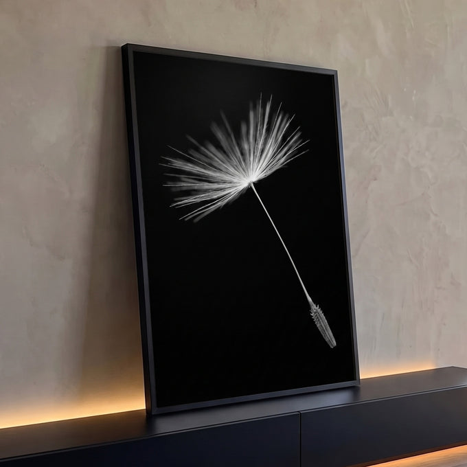 Semente de dente de leão flutuando em foto macro sobre fundo preto, quadro decorativo