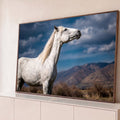 Cavalo branco tordilho de crina loira em perfil, céu azul com nuvens e montanhas ao fundo, quadro decorativo