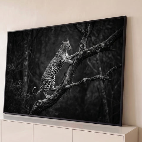 Leopardo subindo no tronco de uma árvore em floresta escura, fotografia preto e branco, quadro decorativo