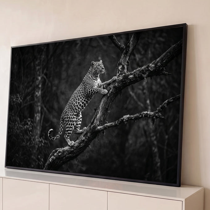 Quadro Decorativo Grande Leopardo Escalando para Sala Preto | quadros decorativos para sala | leopardo escalando galho seco em fotografia preto e branco de floresta | Porao dos Quadros