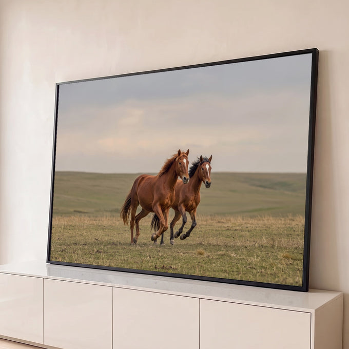 Dois cavalos alazões galopando lado a lado em pradaria verde sob céu nublado claro, quadro decorativo