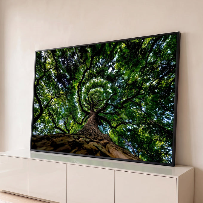 Quadro Decorativo Grande Copa de Árvore Folhas para Sala | quadros decorativos para sala | vista de baixo para cima de árvore com galhos em espiral e folhagem verde densa | Porao dos Quadros