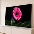 Quadro Decorativo Grande Flor Gerbera Rosa para Sala | quadros decorativos para sala | gerbera rosa com gotas de água sobre fundo preto | Porao dos Quadros
