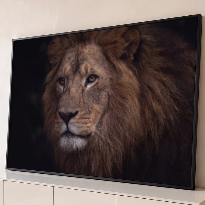 Quadro Decorativo Grande Leão Juba Dourada para Sala Marrom | quadros decorativos para sala | close de leão com juba dourada e olhos âmbar em fundo preto | Porao dos Quadros