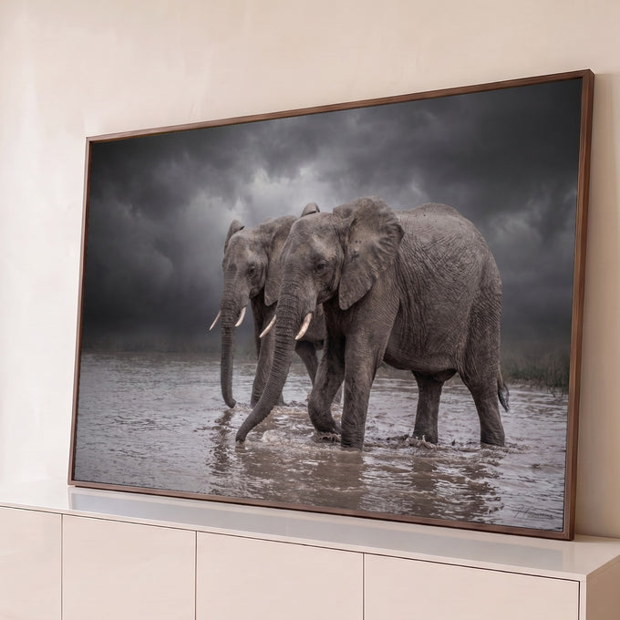 Quadro Decorativo Grande Dois Elefantes para Sala Cinza | quadros decorativos para sala | dois elefantes caminhando pela água sob céu nublado dramático em tons de cinza | Porao dos Quadros