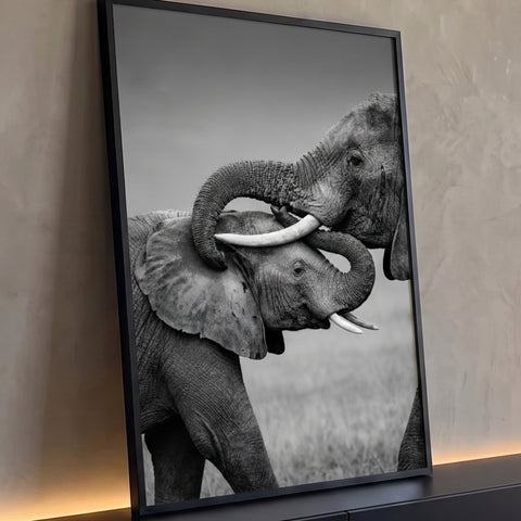 Dois elefantes africanos entrelaçando trombas em fotografia preto e branco na savana, quadro decorativo