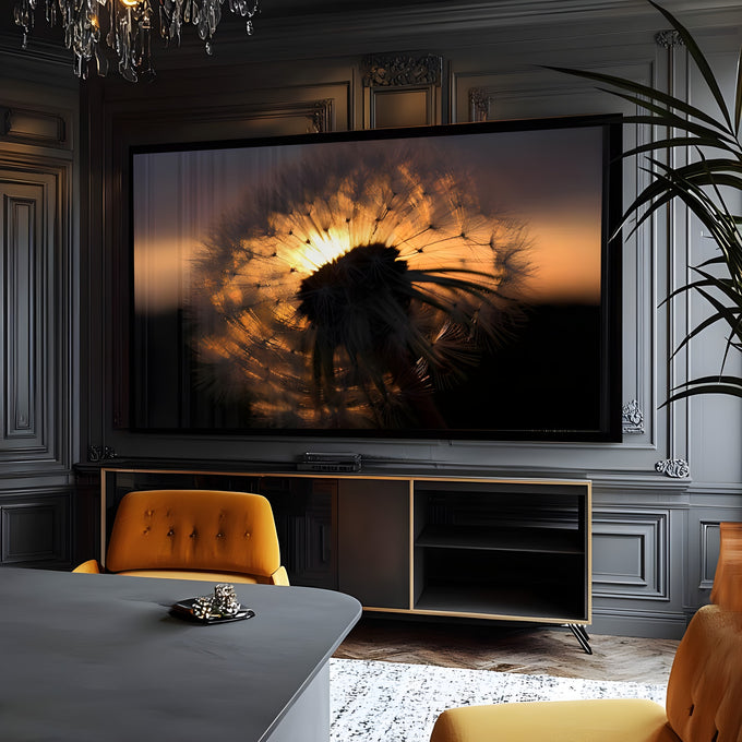 Dente de leão em contraluz com sol dourado ao entardecer e fundo escuro, quadro decorativo