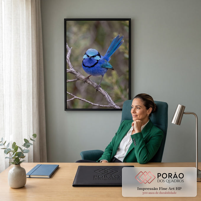 Pássaro corruíra azul com cauda erguida pousado em galho seco, fundo verde desfocado, quadro decorativo