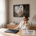 Coruja-das-torres de perfil com face branca e penas douradas sobre fundo verde desfocado, quadro decorativo