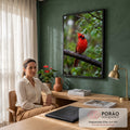 Pássaro cardeal vermelho pousado em galho molhado com folhas verdes e gotas de chuva, quadro decorativo