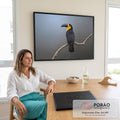 Tucano preto de garganta amarela pousado em galho seco sobre fundo cinza-azulado, quadro decorativo