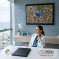 Pássaro fada-azul de cauda erguida pousado em galho seco com fundo verde desfocado, quadro decorativo