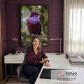 Pássaro bordô de peito lilás pousado em galho com musgo e bromélia, fundo verde desfocado, quadro decorativo