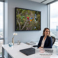 Arara vermelha e arara azul e amarela de asas abertas num galho seco na floresta verde, quadro decorativo