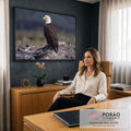Águia-de-cabeça-branca de perfil pousada em tronco seco com fundo cinza desfocado, quadro decorativo