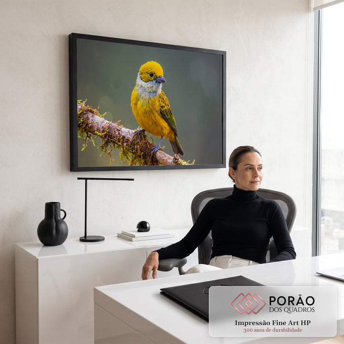 Pássaro saíra amarelo com garganta prateada pousado em galho com musgo, fundo verde desfocado, quadro decorativo