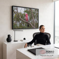Cacatua-rosa de asas cinza pousada em galho seco entre folhas verdes de eucalipto, quadro decorativo