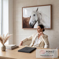 Cavalo branco de crina longa ao lado de cavalo castanho em fundo branco, fotografia quadro decorativo