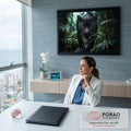 Pantera negra de olhos verdes caminhando na chuva entre folhagens da floresta tropical, quadro decorativo