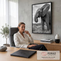 Elefante africano de orelha aberta e tromba enrolada visto de baixo em preto e branco, quadro decorativo