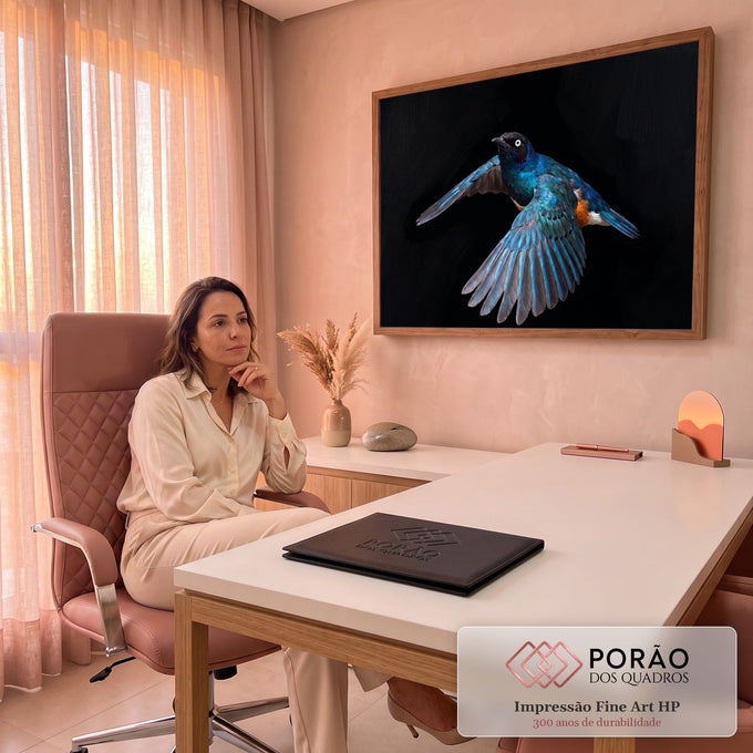 Pássaro estorninho azul iridescente de asas abertas em voo sobre fundo preto, quadro decorativo