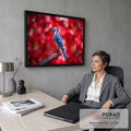 Pássaro gaio-azul pousado em galho com fundo vermelho de outono desfocado, quadro decorativo
