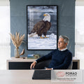 Águia de cabeça branca em pé sobre a neve diante de rio azul acinzentado, pintura realista, quadro decorativo