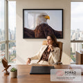 Pintura realista de águia-de-cabeça-branca de perfil com asas abertas e céu claro, quadro decorativo