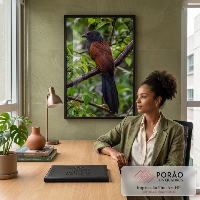 Pássaro de cabeça preta, olho vermelho e corpo castanho pousado em galho na mata verde, quadro decorativo