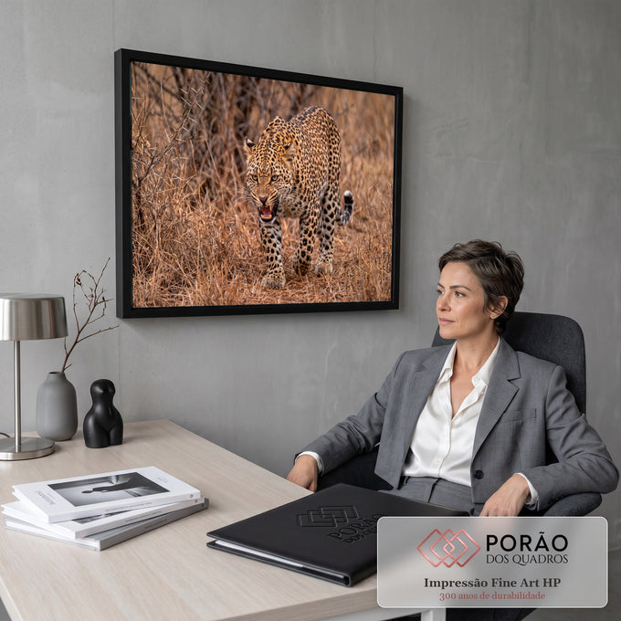 Leopardo rosnando com dentes à mostra, avançando pelo capim seco da savana, quadro decorativo