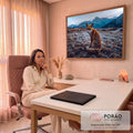Raposa-vermelha sentada em campo pedregoso olhando para trás, montanhas azuis ao fundo, quadro decorativo