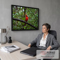 Pássaro cardeal vermelho pousado em galho molhado com folhas verdes e gotas de chuva, quadro decorativo