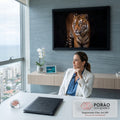 Quadro Decorativo Grande Tigre Olhar Fixo para Sala Laranja | quadros decorativos | tigre adulto caminhando com olhos âmbar fixos sobre fundo preto profundo | em ambiente 2 | Porao dos Quadros