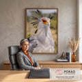 Pássaro secretário de penas cinza, penacho negro e rosto laranja em fotografia de perto, quadro decorativo